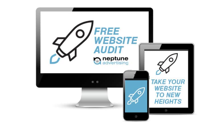 Neptune website auditor